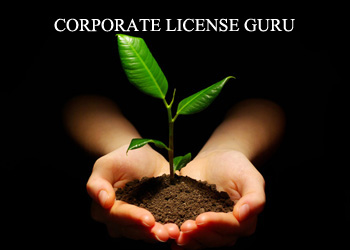 Corporate License Guru